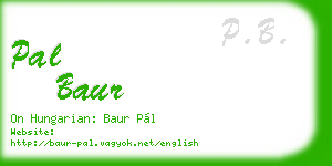 pal baur business card